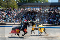The 50th anniversary of jousting in Australia - in pictures