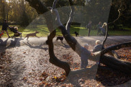Colours of autumn at the National Arboretum - picture essay