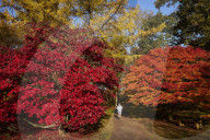 Colours of autumn at the National Arboretum - picture essay