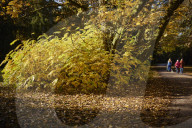 Colours of autumn at the National Arboretum - picture essay
