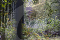 Derelict site on London's Billionaire's Row 'has space for 300 homes'