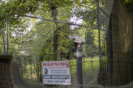 Derelict site on London's Billionaire's Row 'has space for 300 homes'