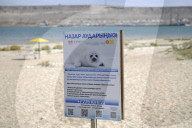 The shrinking sea: why the Caspian is under threat - a photo essay 