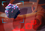 New computer model works out how cancers spread 