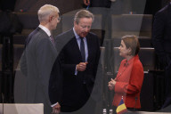 Foreign Secretary David Cameron attends NATO Summit