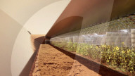 Plan for inflatable Mars astronaut base