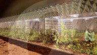 Plan for inflatable Mars astronaut base