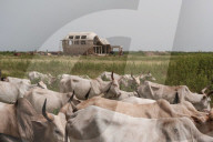 Akon City: tumbleweed rolls through site of rapper's Wakanda-inspired dream.