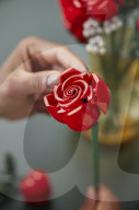 Lego bouquet of roses set just for grown ups