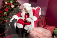 'Eccentric doesn't cover it': dogs visit Santa Paws at John Lewis's pet grotto