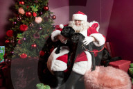 'Eccentric doesn't cover it': dogs visit Santa Paws at John Lewis's pet grotto