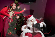 'Eccentric doesn't cover it': dogs visit Santa Paws at John Lewis's pet grotto