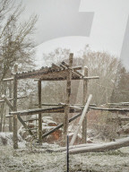 One Swedish zoo, seven escaped chimpanzees.
Furuvik Zoo in Sweden.