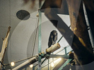 One Swedish zoo, seven escaped chimpanzees.
Furuvik Zoo in Sweden.
