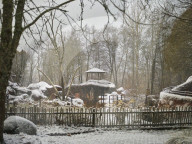 One Swedish zoo, seven escaped chimpanzees.
Furuvik Zoo in Sweden.