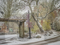 One Swedish zoo, seven escaped chimpanzees.
Furuvik Zoo in Sweden.