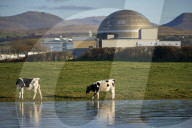 Sellafield nuclear site hacked by groups linked to Russia and China