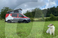 Dog friendly camper van is a pet paradise