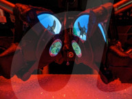 Virtual reality goggles for mice