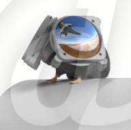 Virtual reality goggles for mice