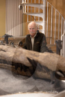 Pliosaur skull has been discovered in Dorset, UK. Pliosaur skull has been discovered in Dorset, UK. 