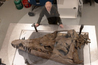Pliosaur skull has been discovered in Dorset, UK. Pliosaur skull has been discovered in Dorset, UK. 