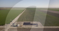 Chipotle Mexican restaurant chain invests in  eco friendly AI farm robots and fertiliser