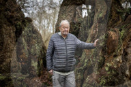 'The trees are trying to tell us things': Ted Green the ecologist championing Britain's ancient forests