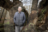 'The trees are trying to tell us things': Ted Green the ecologist championing Britain's ancient forests