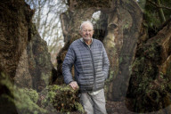 'The trees are trying to tell us things': Ted Green the ecologist championing Britain's ancient forests