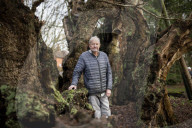 'The trees are trying to tell us things': Ted Green the ecologist championing Britain's ancient forests