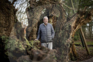 'The trees are trying to tell us things': Ted Green the ecologist championing Britain's ancient forests