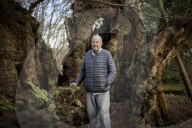 'The trees are trying to tell us things': Ted Green the ecologist championing Britain's ancient forests