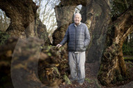 'The trees are trying to tell us things': Ted Green the ecologist championing Britain's ancient forests