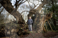 'The trees are trying to tell us things': Ted Green the ecologist championing Britain's ancient forests