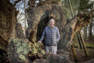 'The trees are trying to tell us things': Ted Green the ecologist championing Britain's ancient forests
