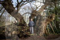 'The trees are trying to tell us things': Ted Green the ecologist championing Britain's ancient forests