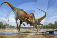 Study finds new tyrannosaur species