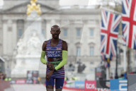 Tom Jenkins's best sport photographs of 2023