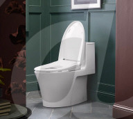 Voice controlled seat makes any toilet a bidet as well