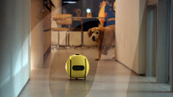 Spherical robot due to roll into homes as a helper