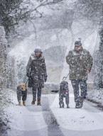 Snowy weather in Ash, UK.