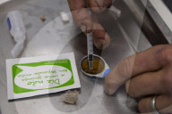 Drug consumption rooms could save thousands of UK lives, study finds.