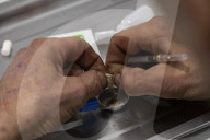 Drug consumption rooms could save thousands of UK lives, study finds.
