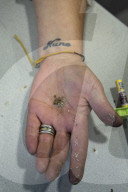 Drug consumption rooms could save thousands of UK lives, study finds.