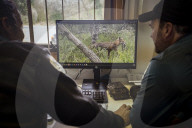 Fence me in: the bold plan to save native species on Wilsons Promontory