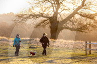 Frosty sunrise in Richmond Park in London, UK.