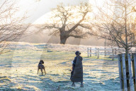 Frosty sunrise in Richmond Park in London, UK.