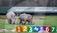 ZSL Whipsnade Zoo’s annual stocktake, 
Dunstable, Bedfordshire, UK.