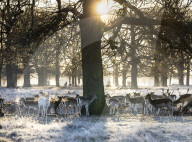 Cold weather continues in London, UK.